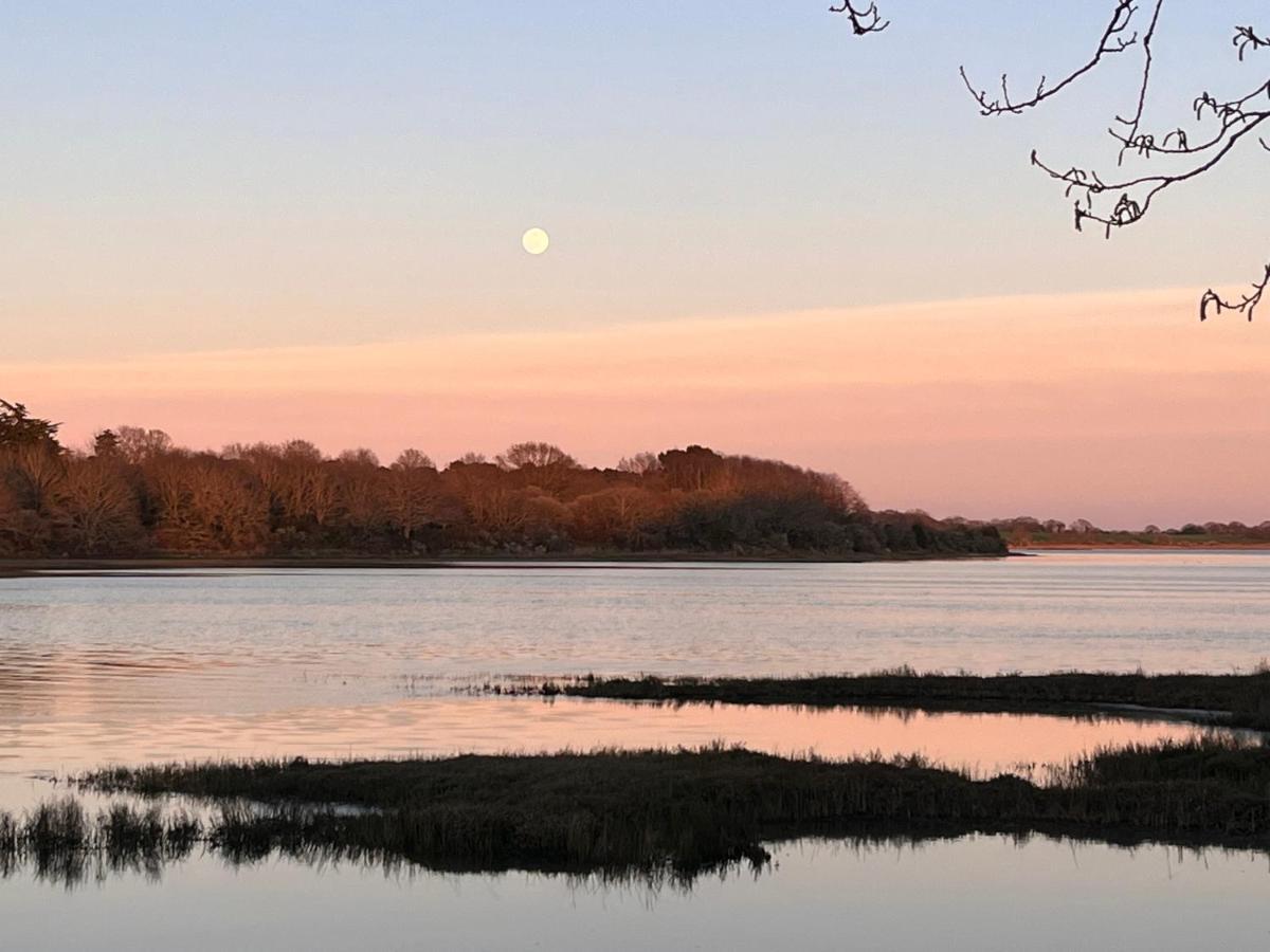 La P'tite Vannetaise - Petite Maison Au Bord De L'eau à Conleau Avec Vélos * Vannes